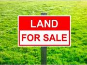 Good Buy Lot for Sale BF Homes Paranaque