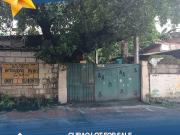 Good Deal lot for Sale in Cubao Detroit Street Quezon City!