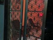 Good House For sale at Taman Derga Jaya