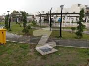 Good Location House Of 6 Marla Is Available For Rent DHA...