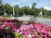 Good Location Plot For Sale In Multi Garden B 17...