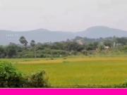 Good Property 200 Sq.Yd. Plot in Vijayawada Highway...
