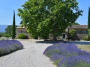 Gordes: authentique mas avec piscine et dépendances sur...