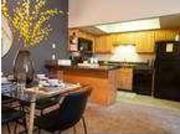 Gorgeous 2 Bd 1 Ba For Rent $1297/Mo