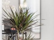 Gorgeous and fashionable flat in Buckenhof, Erlangen,...