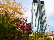 Gorgeous Condo In The Heart Of Kelowna!