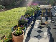 Gorgeous garden flat