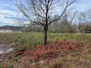 Gourbera Aquitaine 40990 73912544