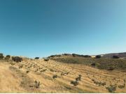 GR3903 Alhama de granada Chalet independiente con...