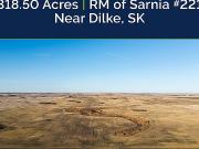 Grain Land Opportunity In Rm Of Sarnia # 221