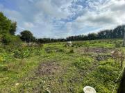 Grainmore, Ballymote, Sligo E & M Scanlon Auctioneers &...