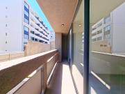 Gral. González Balca [2815 1]