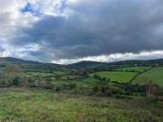 Grallagh, County Tipperary, E45 WK63, Dolla Grallagh, County Tipperary, E45 WK63, Dolla