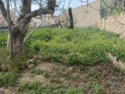 Gran casa en Aspe con inmenso jardín