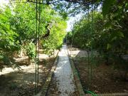 Gran casa señorial en el centro con 480 m 2 de parcela y...
