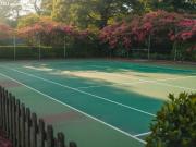 Gran Chalet en el Marquesado con piscina, pista de tenis...