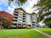Gran departamento en sector Avenida Alemania
