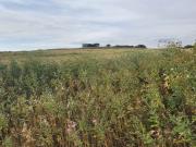 Gran finca de alto valor natural