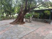 Gran finca en Bonda: 6,7 Has con lago, quebrada y...