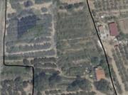 Gran finca rustica en Riudoms