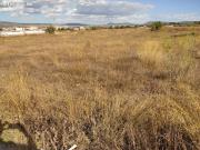 GRAN OCASION SOLAR DE 600 M2 EN LA PROLONGACION DE LA...