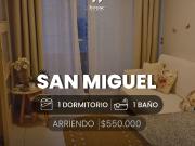 GRAN OPORTUNIDAD DE ARRIENDO SAN MIGUEL