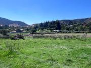 Gran Oportunidad de Inversión – 1 Hectárea en Culiprán,...