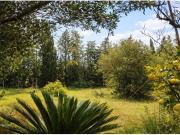 ? GRAN OPORTUNIDAD DE INVERSIÓN EN CHICLANA – CAMINO DEL...