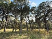 Gran oportunidad de inversión en La Esmeralda, Galeana