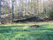 Gran oportunidad de inversión Terreno en Pucón