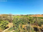 GRAN OPORTUNIDAD EN CÁRTAMA ESTACIÓN – AMPLIO CHALET CON...