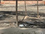 Gran Oportunidad en Chorrillos: 4 Terrenos Colindantes...