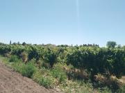 Gran oportunidad finca ideal desarrollo inmobiliario