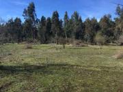 GRAN OPORTUNIDAD PARA INVERSION