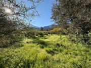 ¡Gran Oportunidad! Parcela En Paine, 8000 M² Únicos