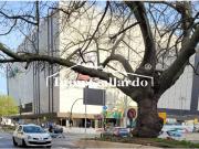 ¡Gran oportunidad! Piso en venta en Málaga ¡Gran oportunidad! Piso en venta en Málaga