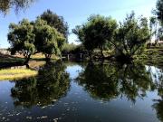 Terreno en venta en Valle Imperial, Zapopan, Jalisco Terreno en venta en Valle Imperial, Zapopan, Jalisco