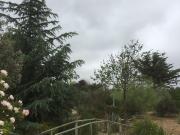 GRAN PARCELA, CON CASA, QUINCHO, PISCINA, Y JARDIN ARMADO