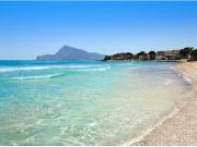 GRAN PARCELA CON VISTAS EN ALTEA