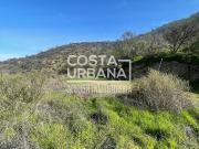 Gran Parcela en La Aurora, Curacaví Gran Parcela en La Aurora, Curacaví