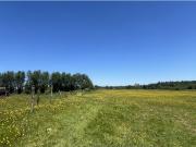 GRAN PARCELA EN LONGAVI