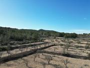 Esta amplia parcela, situada en un entorno natural y...