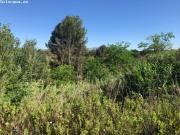 GRAN PARCELA EN VENTA EN GELIDA 10689 M2