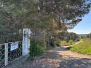 GRAN PARCELA RUSTICA EN VENTA EN TERMINO DE ABRERA MAS...