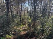 GRAN PARCELA RUSTICA EN VENTA EN TERMINO DE ABRERA MAS...