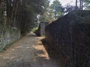 Gran Remate, Casa en Fracc. Atlixlac, Tres Marías,...