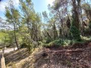 Gran solar en venta en urb. Mas Alba, para 8 casas