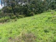 GRAN TERRENO EN PARAJE PALACIO