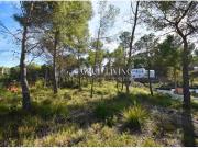 GRAN TERRENO PLANO EN MAS MESTRE, OLIVELLA