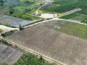 GRAN VENTA DE PARCELA EN SAN JUAN DE CURUMUY PIURA